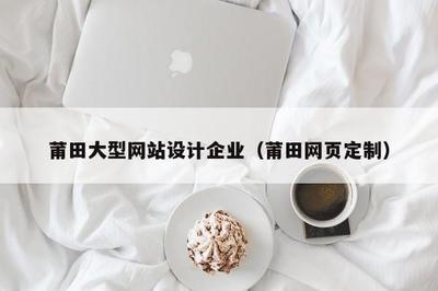 莆田大型網(wǎng)站設(shè)計(jì)企業(yè) 專業(yè)網(wǎng)頁定制與電腦圖文設(shè)計(jì)制作